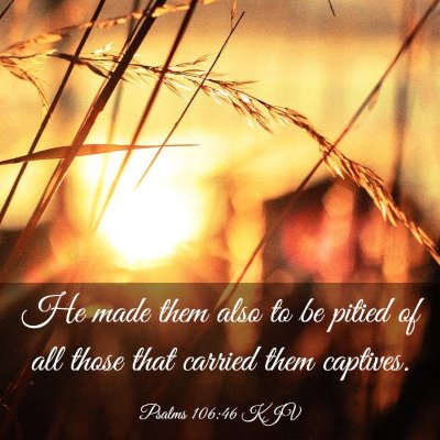Picture 03 - Psalms 106:46 KJV - He made them also to be pitied of all those that - Bible Verse Picture