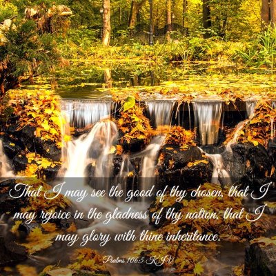 Picture 03 - Psalms 106:5 KJV - That I may see the good of thy chosen, that I may - Bible Verse Picture