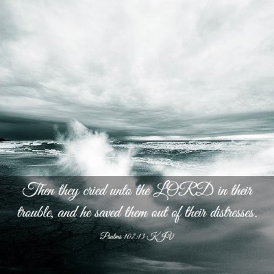 Picture 03 - Psalms 107:13 KJV - Then they cried unto the LORD in their trouble, - Bible Verse Picture