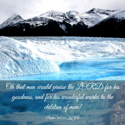 Picture 03 - Psalms 107:15 KJV - Oh that men would praise the LORD for his - Bible Verse Picture