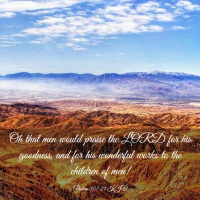 Picture 03 - Psalms 107:21 KJV - Oh that men would praise the LORD for his - Bible Verse Picture