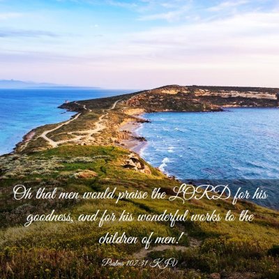 Picture 03 - Psalms 107:31 KJV - Oh that men would praise the LORD for his - Bible Verse Picture