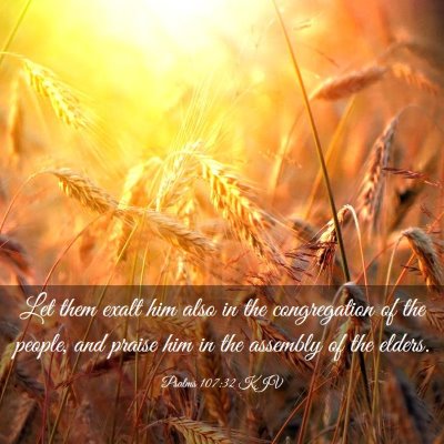 Picture 03 - Psalms 107:32 KJV - Let them exalt him also in the congregation of - Bible Verse Picture