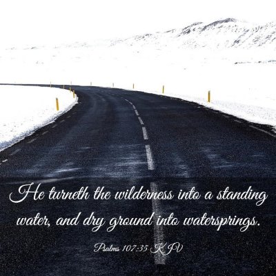 Picture 03 - Psalms 107:35 KJV - He turneth the wilderness into a standing water, - Bible Verse Picture