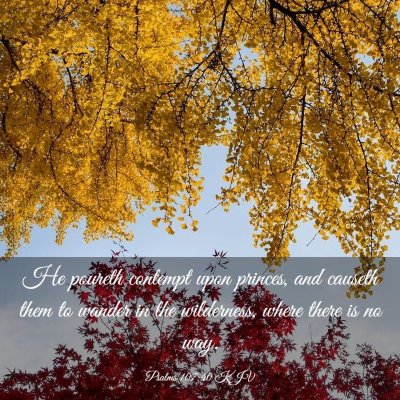 Picture 03 - Psalms 107:40 KJV - He poureth contempt upon princes, and causeth - Bible Verse Picture