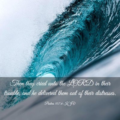 Picture 03 - Psalms 107:6 KJV - Then they cried unto the LORD in their trouble, - Bible Verse Picture