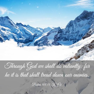 Picture 03 - Psalms 108:13 KJV - Through God we shall do valiantly: for he it is - Bible Verse Picture