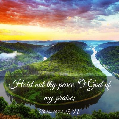 Picture 03 - Psalms 109:1 KJV - Hold not thy peace, O God of my - Bible Verse Picture