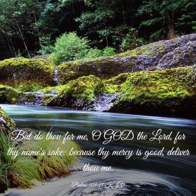 Picture 03 - Psalms 109:21 KJV - But do thou for me, O GOD the Lord, for thy - Bible Verse Picture
