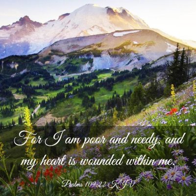 Picture 03 - Psalms 109:22 KJV - For I am poor and needy, and my heart is wounded - Bible Verse Picture