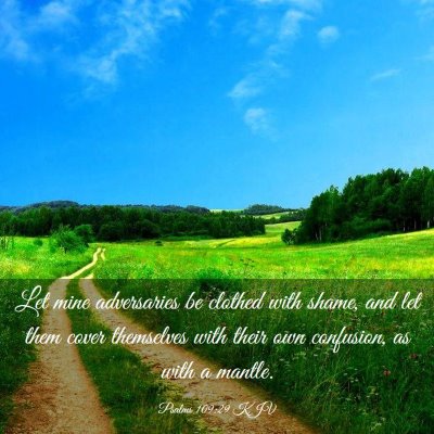 Picture 03 - Psalms 109:29 KJV - Let mine adversaries be clothed with shame, and - Bible Verse Picture