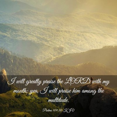 Picture 03 - Psalms 109:30 KJV - I will greatly praise the LORD with my mouth; - Bible Verse Picture
