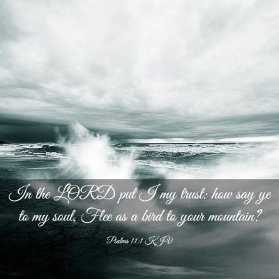 Picture 03 - Psalms 11:1 KJV - In the LORD put I my trust: how say ye to my - Bible Verse Picture