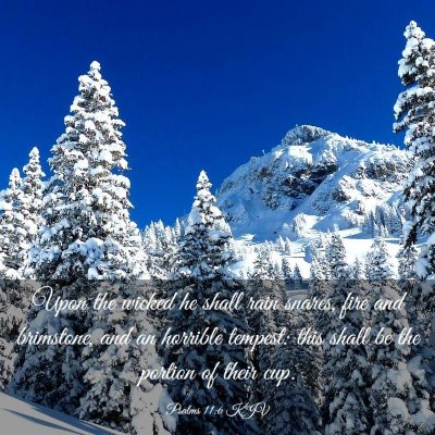 Picture 03 - Psalms 11:6 KJV - Upon the wicked he shall rain snares, fire and - Bible Verse Picture