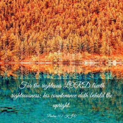 Picture 03 - Psalms 11:7 KJV - For the righteous LORD loveth righteousness; his - Bible Verse Picture