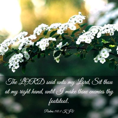 Picture 03 - Psalms 110:1 KJV - The LORD said unto my Lord, Sit thou at my right - Bible Verse Picture