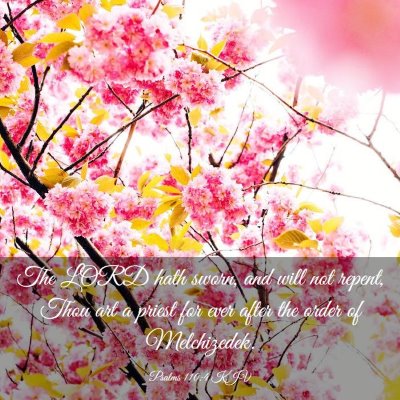 Picture 03 - Psalms 110:4 KJV - The LORD hath sworn, and will not repent, Thou - Bible Verse Picture