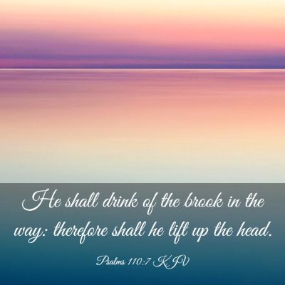 Picture 03 - Psalms 110:7 KJV - He shall drink of the brook in the way: therefore - Bible Verse Picture