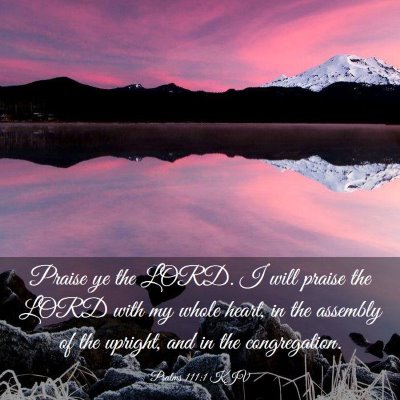Picture 03 - Psalms 111:1 KJV - Praise ye the LORD. I will praise the LORD with - Bible Verse Picture