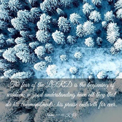 Picture 03 - Psalms 111:10 KJV - The fear of the LORD is the beginning of wisdom: - Bible Verse Picture