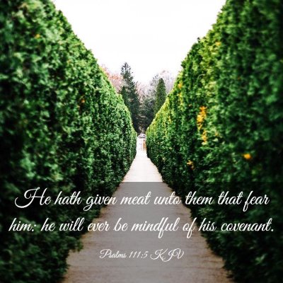 Picture 03 - Psalms 111:5 KJV - He hath given meat unto them that fear him: he - Bible Verse Picture