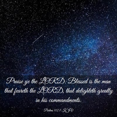 Picture 03 - Psalms 112:1 KJV - Praise ye the LORD. Blessed is the man that - Bible Verse Picture