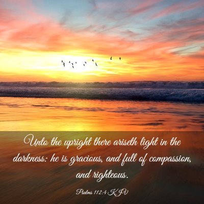 Picture 03 - Psalms 112:4 KJV - Unto the upright there ariseth light in the - Bible Verse Picture