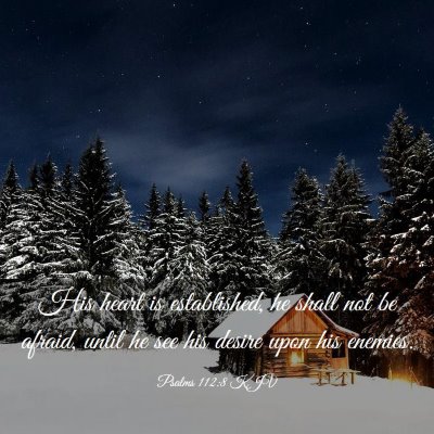 Picture 03 - Psalms 112:8 KJV - His heart is established, he shall not be afraid, - Bible Verse Picture