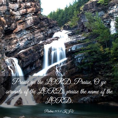 Picture 03 - Psalms 113:1 KJV - Praise ye the LORD. Praise, O ye servants of the - Bible Verse Picture