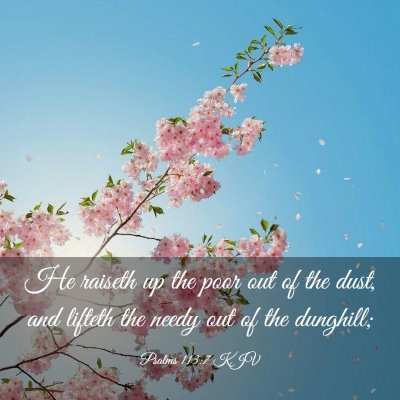 Picture 03 - Psalms 113:7 KJV - He raiseth up the poor out of the dust, and - Bible Verse Picture