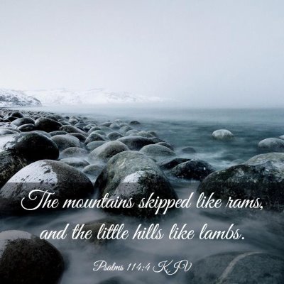 Picture 03 - Psalms 114:4 KJV - The mountains skipped like rams, and the little - Bible Verse Picture