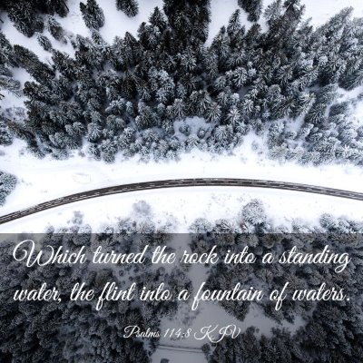 Picture 03 - Psalms 114:8 KJV - Which turned the rock into a standing water, the - Bible Verse Picture