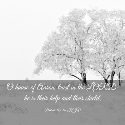 Picture 03 - Psalms 115:10 KJV - O house of Aaron, trust in the LORD: he is their - Bible Verse Picture