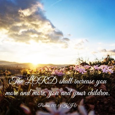 Picture 03 - Psalms 115:14 KJV - The LORD shall increase you more and more, you - Bible Verse Picture