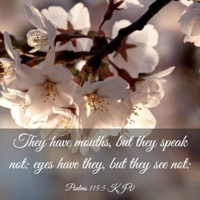 Picture 03 - Psalms 115:5 KJV - They have mouths, but they speak not: eyes have - Bible Verse Picture