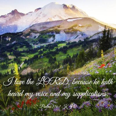 Picture 03 - Psalms 116:1 KJV - I love the LORD, because he hath heard my voice - Bible Verse Picture