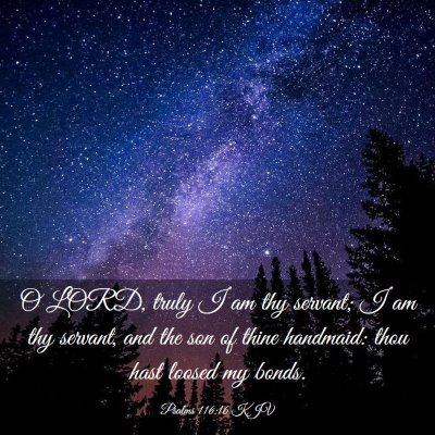 Picture 03 - Psalms 116:16 KJV - O LORD, truly I am thy servant; I am thy servant, - Bible Verse Picture