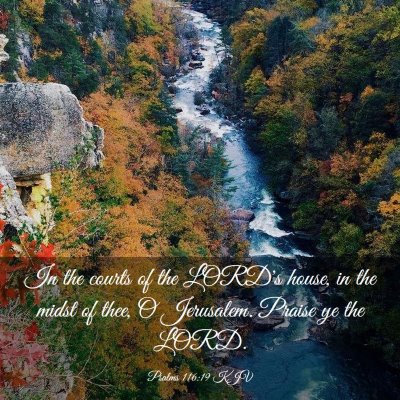 Picture 03 - Psalms 116:19 KJV - In the courts of the LORD's house, in the midst - Bible Verse Picture