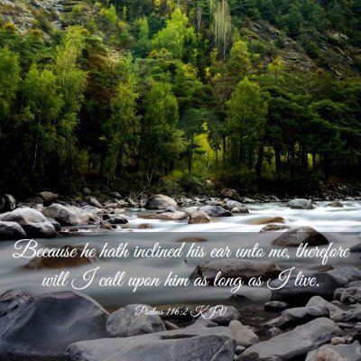 Picture 03 - Psalms 116:2 KJV - Because he hath inclined his ear unto me, - Bible Verse Picture