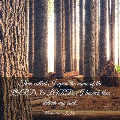 Picture 03 - Psalms 116:4 KJV - Then called I upon the name of the LORD; O LORD, - Bible Verse Picture