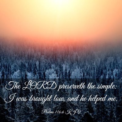 Picture 03 - Psalms 116:6 KJV - The LORD preserveth the simple: I was brought - Bible Verse Picture