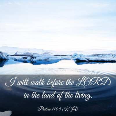Picture 03 - Psalms 116:9 KJV - I will walk before the LORD in the land of the - Bible Verse Picture