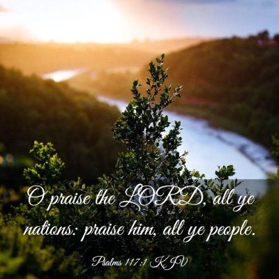 Picture 03 - Psalms 117:1 KJV - O praise the LORD, all ye nations: praise him, - Bible Verse Picture