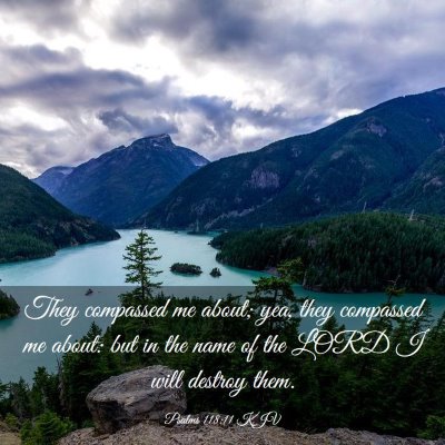 Picture 03 - Psalms 118:11 KJV - They compassed me about; yea, they compassed me - Bible Verse Picture