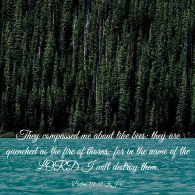 Picture 03 - Psalms 118:12 KJV - They compassed me about like bees: they are - Bible Verse Picture