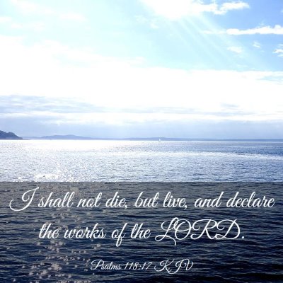 Picture 03 - Psalms 118:17 KJV - I shall not die, but live, and declare the works - Bible Verse Picture