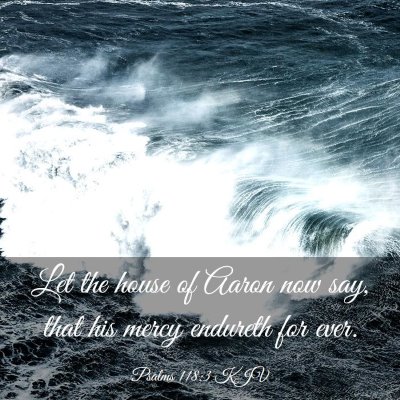 Picture 03 - Psalms 118:3 KJV - Let the house of Aaron now say, that his mercy - Bible Verse Picture