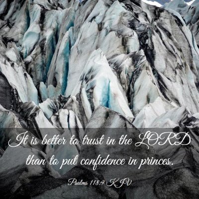 Picture 03 - Psalms 118:9 KJV - It is better to trust in the LORD than to put - Bible Verse Picture