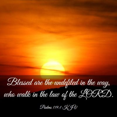 Picture 03 - Psalms 119:1 KJV - Blessed are the undefiled in the way, who walk in - Bible Verse Picture