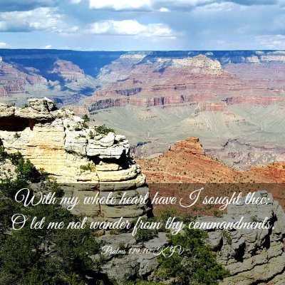 Picture 03 - Psalms 119:10 KJV - With my whole heart have I sought thee: O let me - Bible Verse Picture